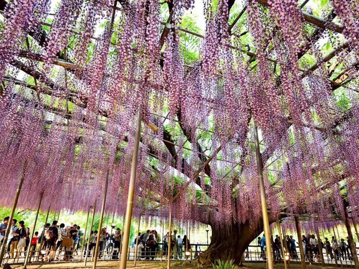 Nasushiobara Ichimantei Hotel Bagian luar foto