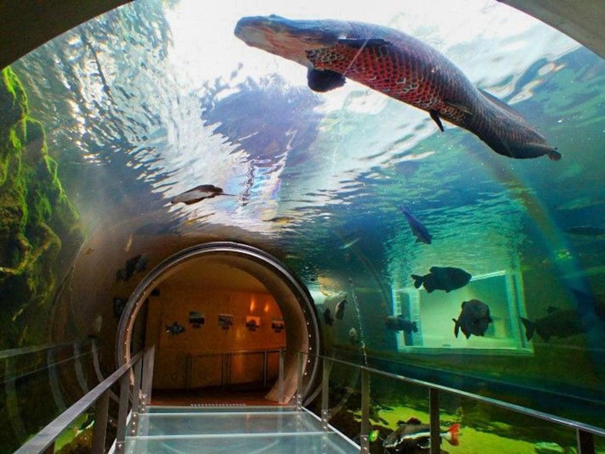 Nasushiobara Ichimantei Hotel Bagian luar foto